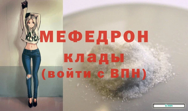 индика Вязьма