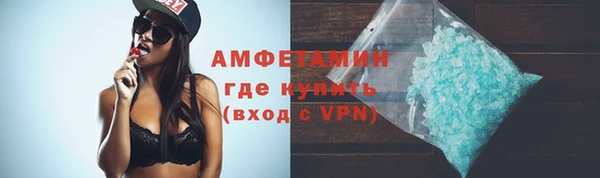 индика Вязники