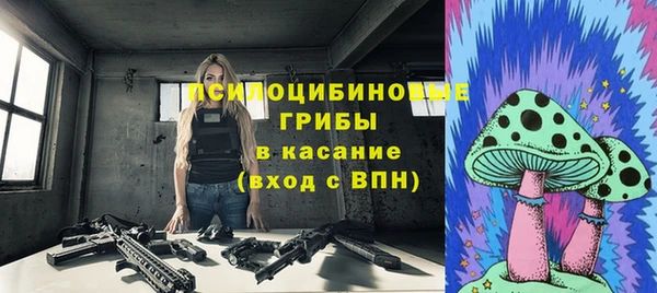 дурь Тында