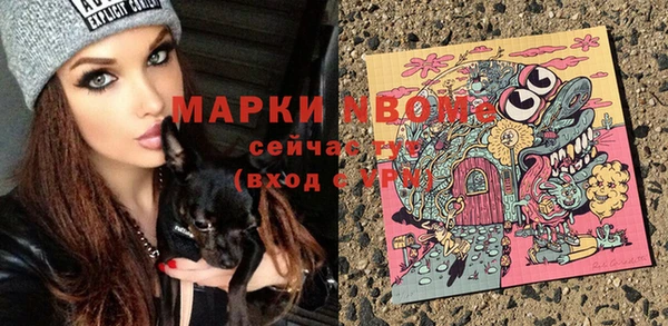 ALPHA PVP Горняк