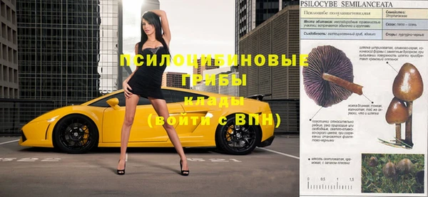 альфа пвп Горно-Алтайск