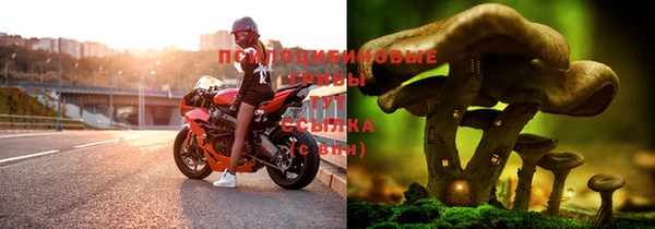 альфа пвп Горно-Алтайск