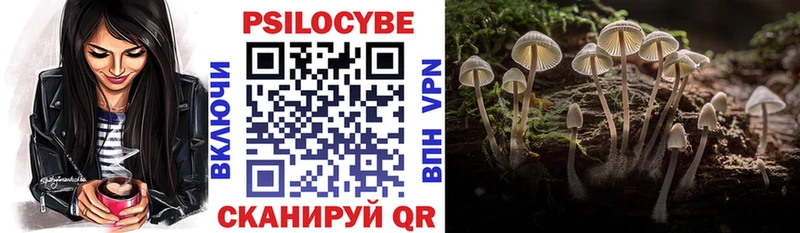 Галлюциногенные грибы Cubensis  Купить закладки  Николаевск-на-Амуре 